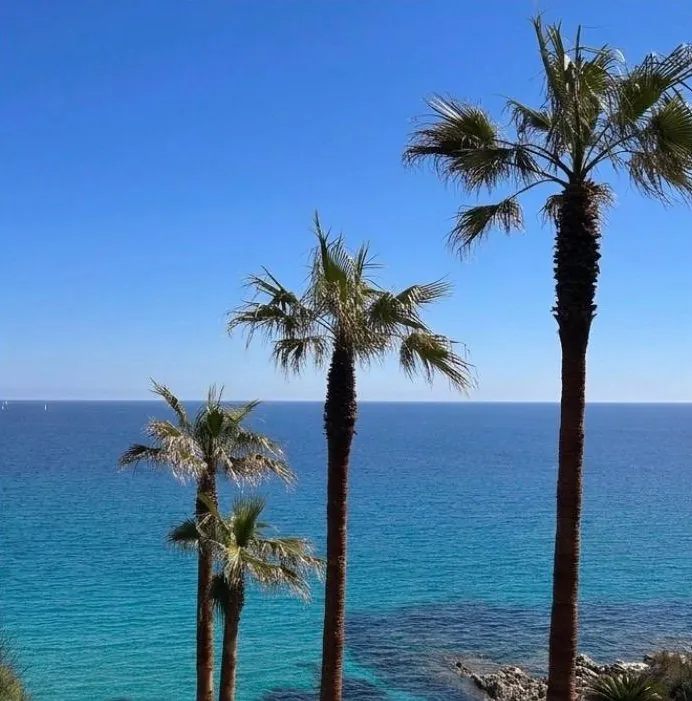 Palm trees above a calm, deep blue sea